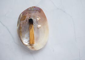 Flat lay of burnt Palo Santo stick on an iridescent seashell for alternative healing.